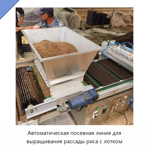 Автоматическая посевная линия для выращивания рассады риса с лотком