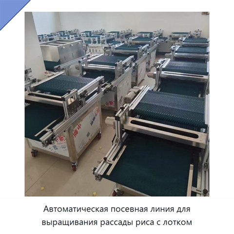 Автоматическая посевная линия для выращивания рассады риса с лотком