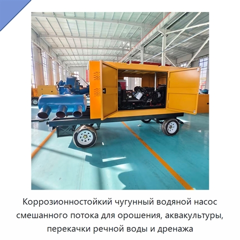 Коррозионностойкий чугунный водяной насос смешанного потока для орошения, аквакультуры, перекачки речной воды и дренажа