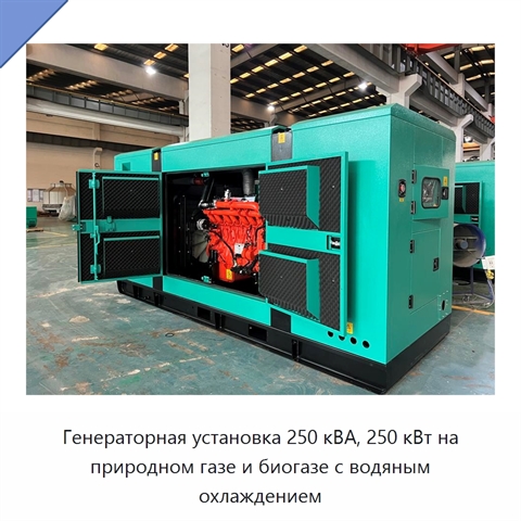 Генераторная установка 250 кВА, 250 кВт на природном газе и биогазе с водяным охлаждением