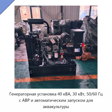 Генераторная установка 40 кВА, 30 кВт, 50/60 Гц с АВР и автоматическим запуском для аквакультуры