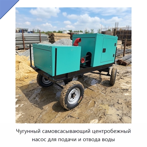 Чугунный самовсасывающий центробежный насос для подачи и отвода воды
