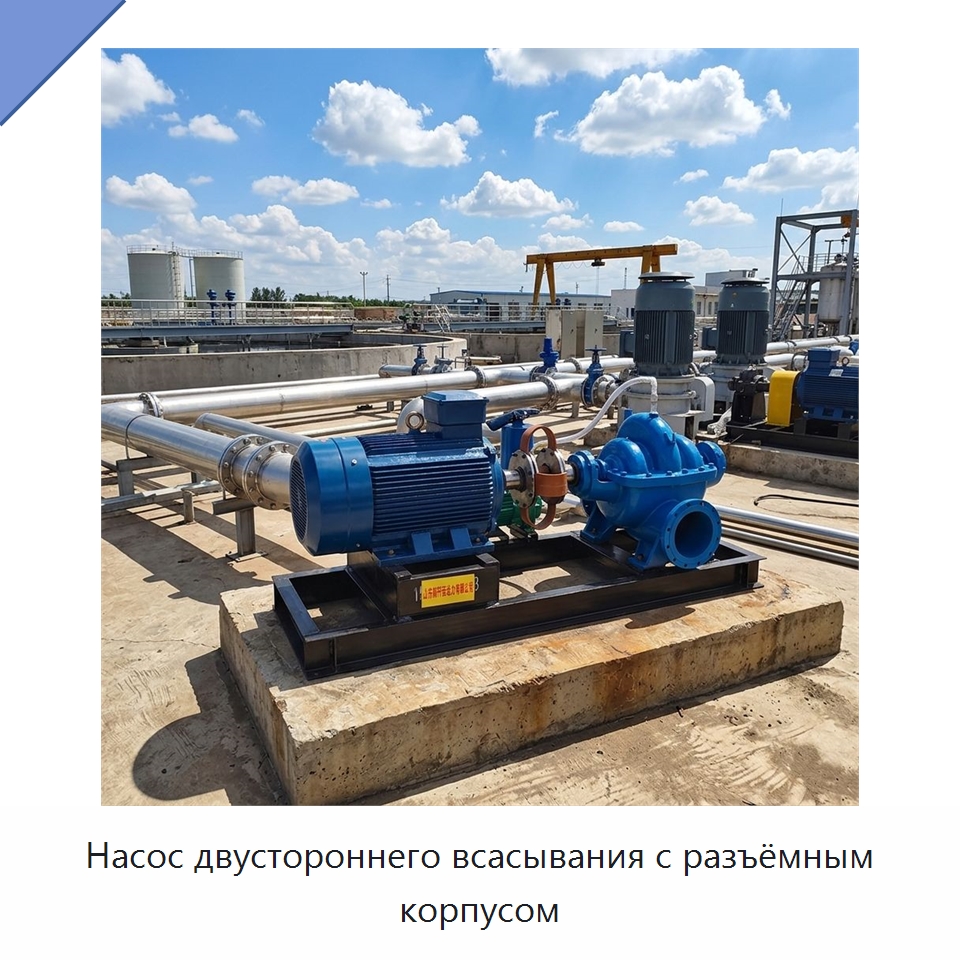 Насос двустороннего всасывания с разъёмным корпусом — Насосы
