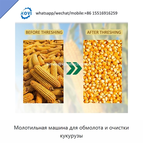 Молотильная машина для обмолота и очистки кукурузы