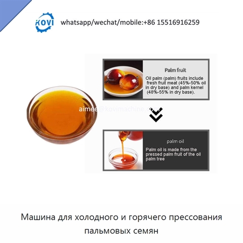 Машина для холодного и горячего прессования пальмовых семян