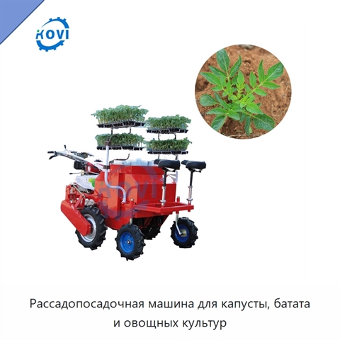 Рассадопосадочная машина для капусты, батата и овощных культур