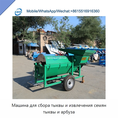 Машина для сбора тыквы и извлечения семян тыквы и арбуза