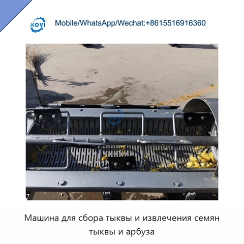 Машина для сбора тыквы и извлечения семян тыквы и арбуза