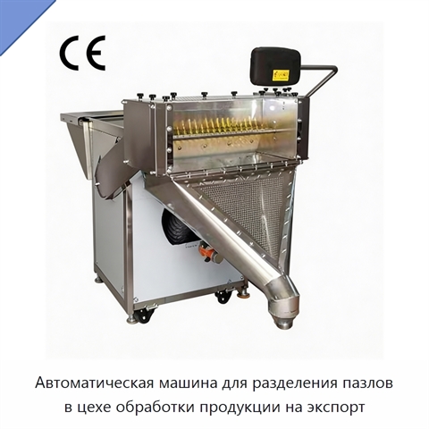 Автоматическая машина для разделения пазлов в цехе обработки продукции на экспорт