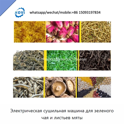 Электрическая сушильная машина для зеленого чая и листьев мяты