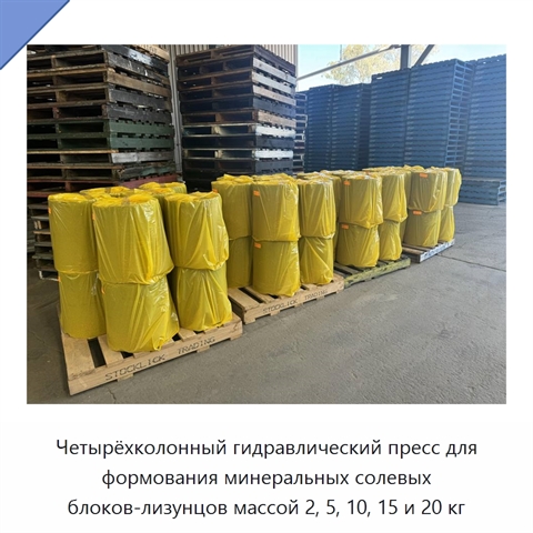 Четырёхколонный гидравлический пресс для формования минеральных солевых блоков-лизунцов массой 2, 5, 10, 15 и 20 кг