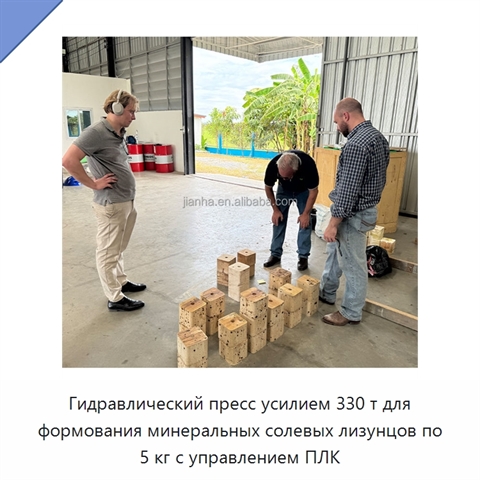 Гидравлический пресс усилием 330 т для формования минеральных солевых лизунцов по 5 кг с управлением ПЛК