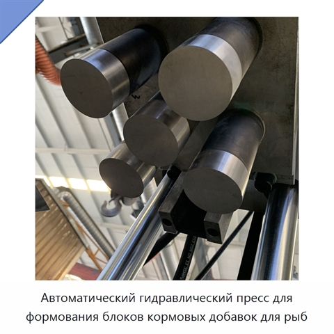 Автоматический гидравлический пресс для формования блоков кормовых добавок для рыб