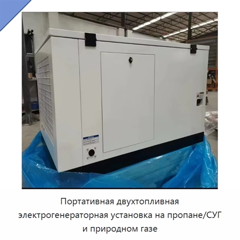 Портативная двухтопливная электрогенераторная установка на пропане/СУГ и природном газе