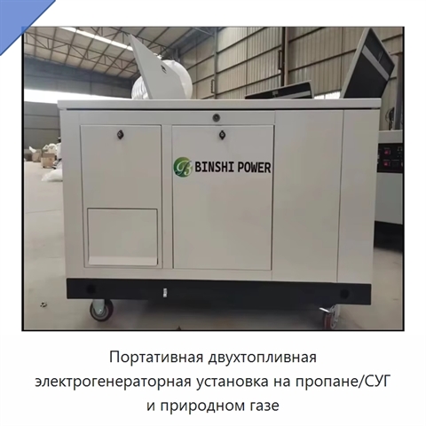 Портативная двухтопливная электрогенераторная установка на пропане/СУГ и природном газе