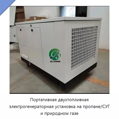Портативная двухтопливная электрогенераторная установка на пропане/СУГ и природном газе