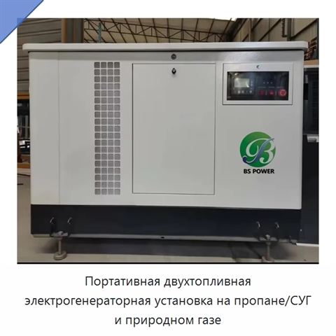 Портативная двухтопливная электрогенераторная установка на пропане/СУГ и природном газе