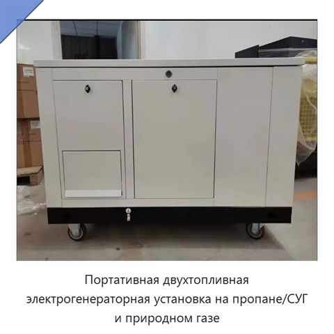 Портативная двухтопливная электрогенераторная установка на пропане/СУГ и природном газе