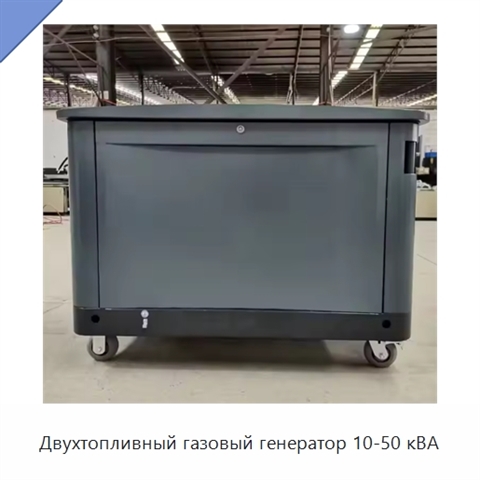 Двухтопливный газовый генератор 10-50 кВА