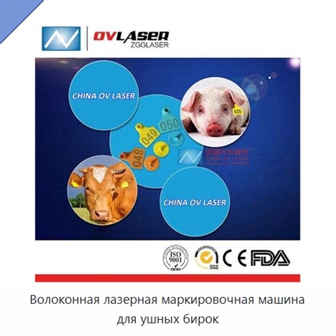 Волоконная лазерная маркировочная машина для ушных бирок