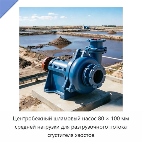Центробежный шламовый насос 80 × 100 мм средней нагрузки для разгрузочного потока сгустителя хвостов