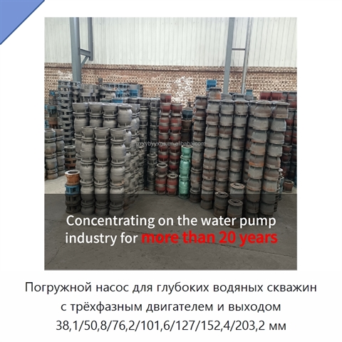 Погружной насос для глубоких водяных скважин с трёхфазным двигателем и выходом 38,1/50,8/76,2/101,6/127/152,4/203,2 мм