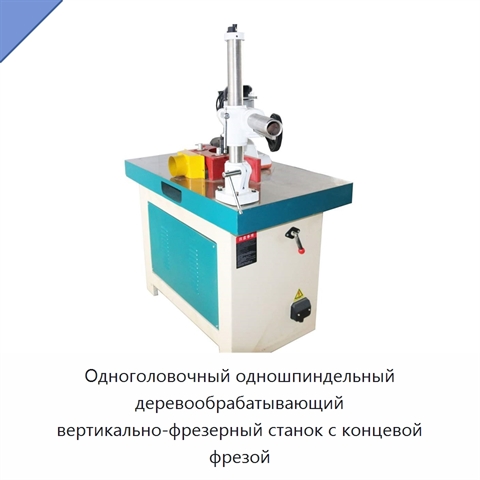 Одноголовочный одношпиндельный деревообрабатывающий вертикально-фрезерный станок с концевой фрезой
