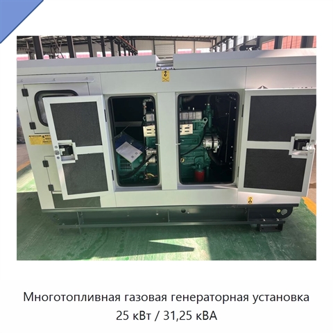 Многотопливная газовая генераторная установка 25 кВт / 31,25 кВА