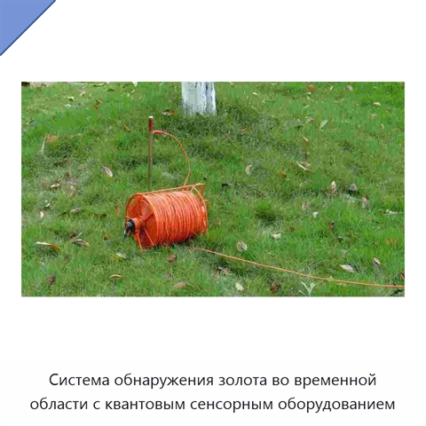 Система обнаружения золота во временной области с квантовым сенсорным оборудованием