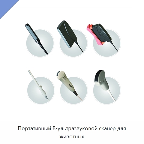 Портативный B-ультразвуковой сканер для животных