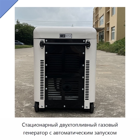 Стационарный двухтопливный газовый генератор с автоматическим запуском
