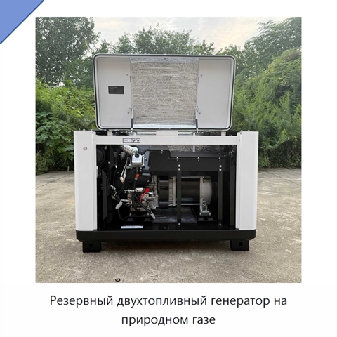 Резервный двухтопливный генератор на природном газе