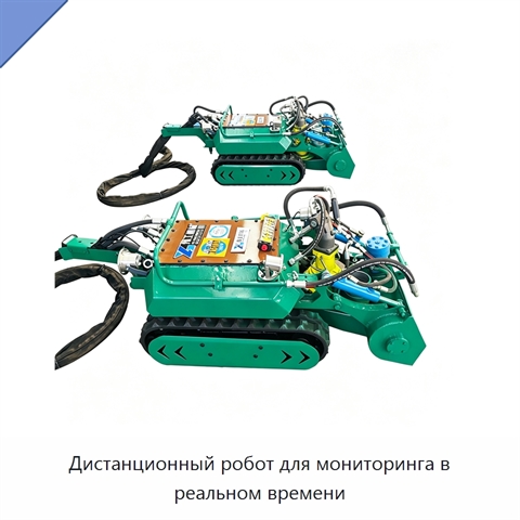 Дистанционный робот для мониторинга в реальном времени