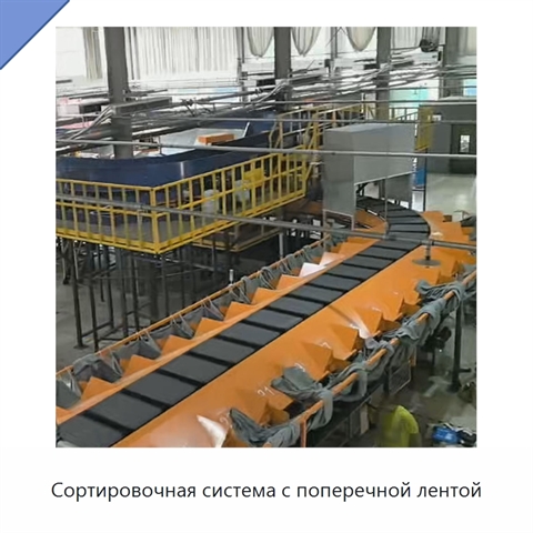 Сортировочная система с поперечной лентой