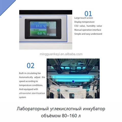 Лабораторный углекислотный инкубатор объёмом 80–160 л