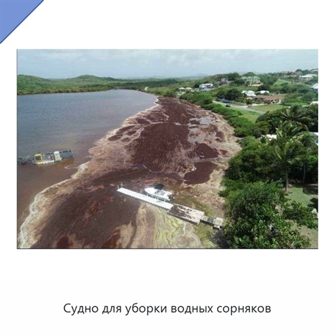 Судно для уборки водных сорняков