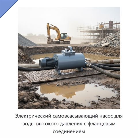Электрический самовсасывающий насос для воды высокого давления с фланцевым соединением