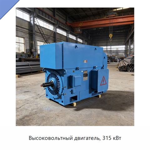Высоковольтный двигатель, 315 кВт