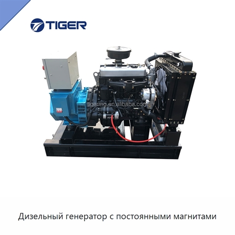 Дизельный генератор с постоянными магнитами