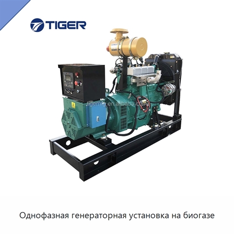 Однофазная генераторная установка на биогазе