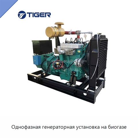 Однофазная генераторная установка на биогазе