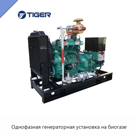 Однофазная генераторная установка на биогазе