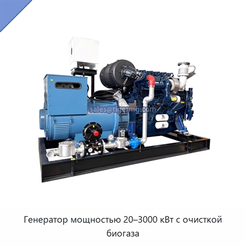Генератор мощностью 20–3000 кВт с очисткой биогаза