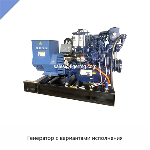 Генератор с вариантами исполнения