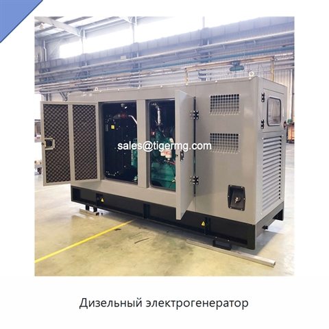 Дизельный электрогенератор