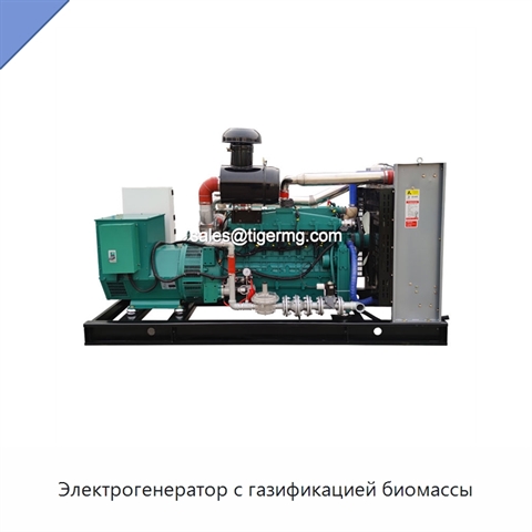 Электрогенератор с газификацией биомассы