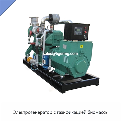 Электрогенератор с газификацией биомассы