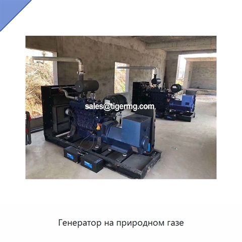 Генератор на природном газе