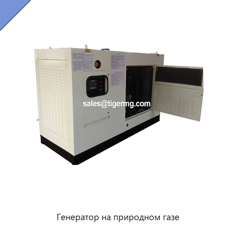 Генератор на природном газе