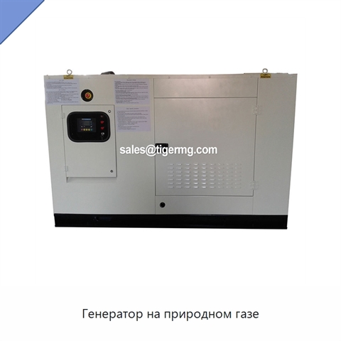 Генератор на природном газе